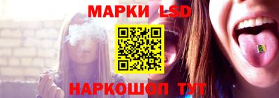 apvp Пугачёв