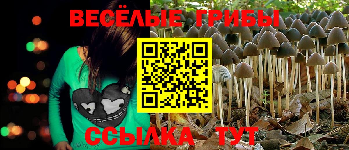 Псилоцибиновые грибы мухоморы  Вход с VPN  Псилоцибиновые грибы Magic Shrooms  Рязань 