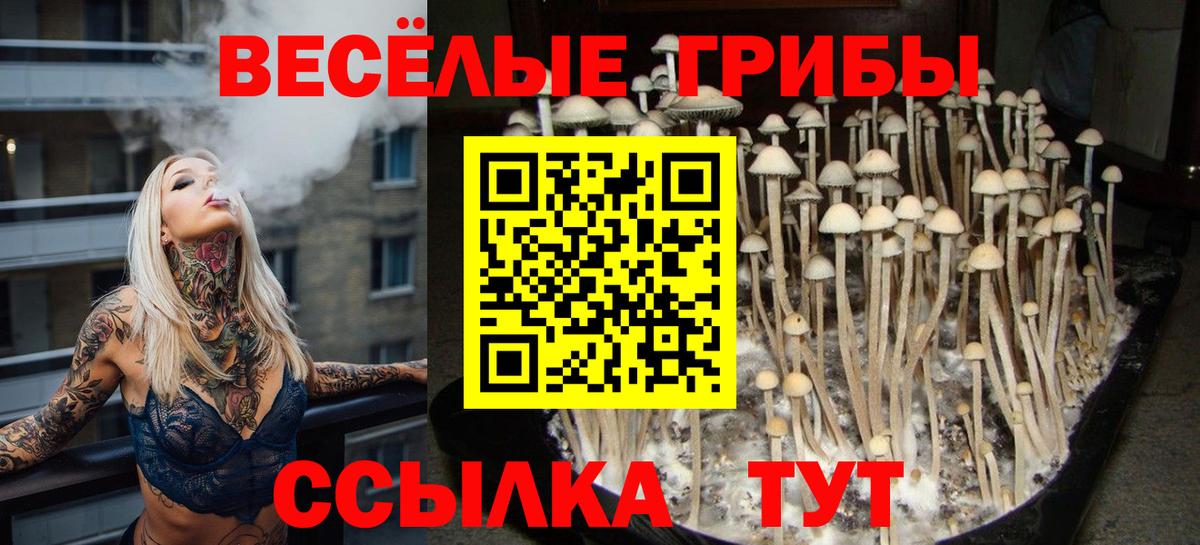 Галлюциногенные грибы мицелий Рязань